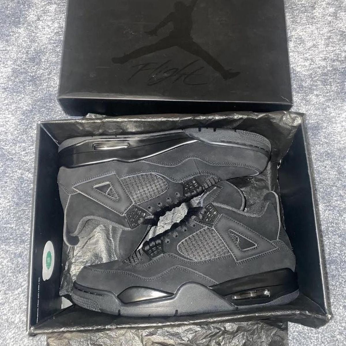 Air Jordan 4 black cat all black