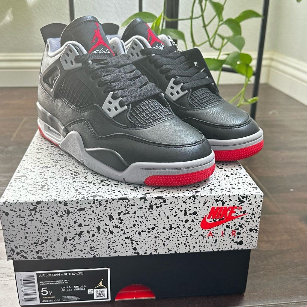 Air jordan 4 bred Reimagined