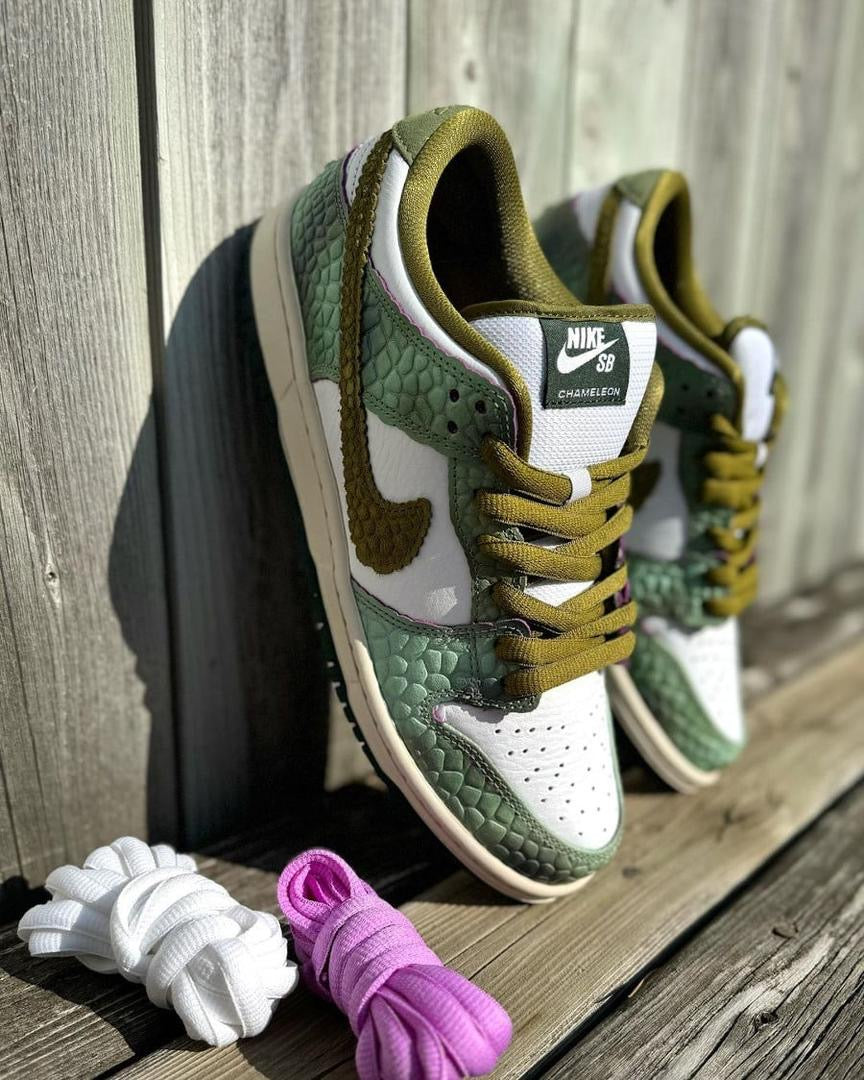 Nike sb dunk pro